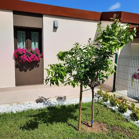 Vistas Al Mar Y Con Jardin - Casa Abelia *